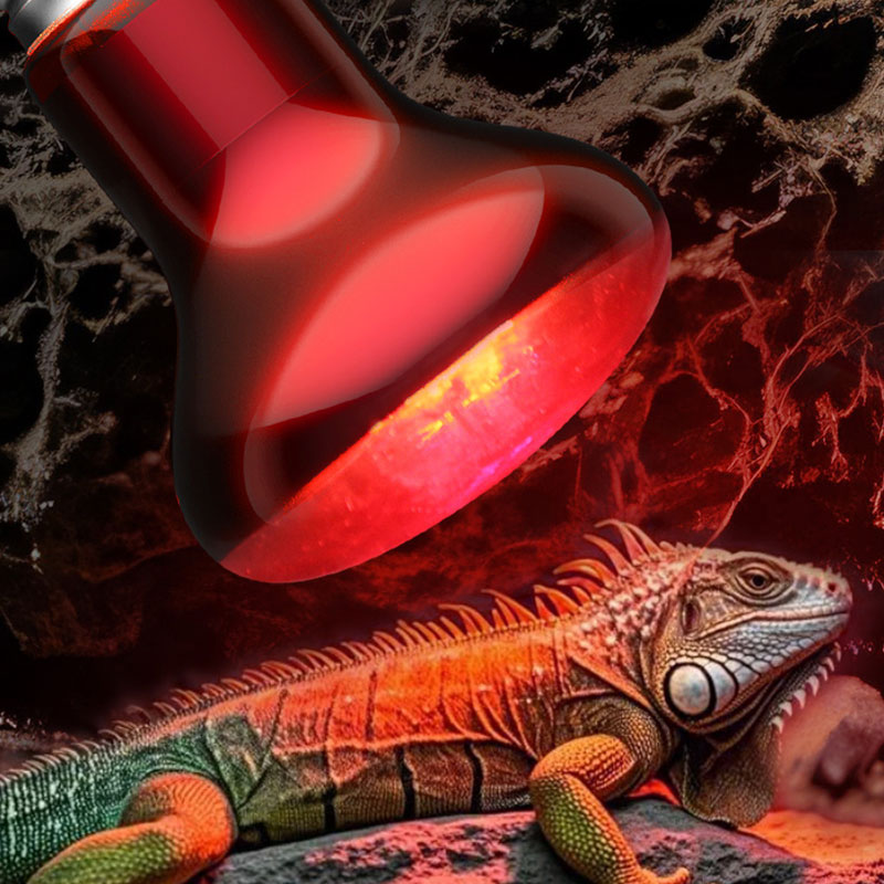 Reptile Heat Lamp 100V/220V In - Gecko Lighting & Decor recensione e prezzo