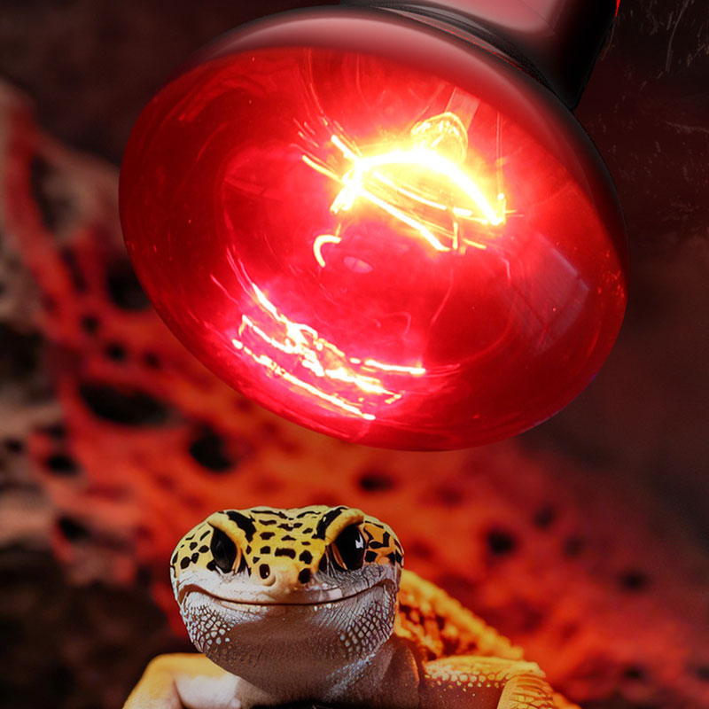 Reptile Heat Lamp 100V/220V In - Gecko Lighting & Decor recensione e prezzo
