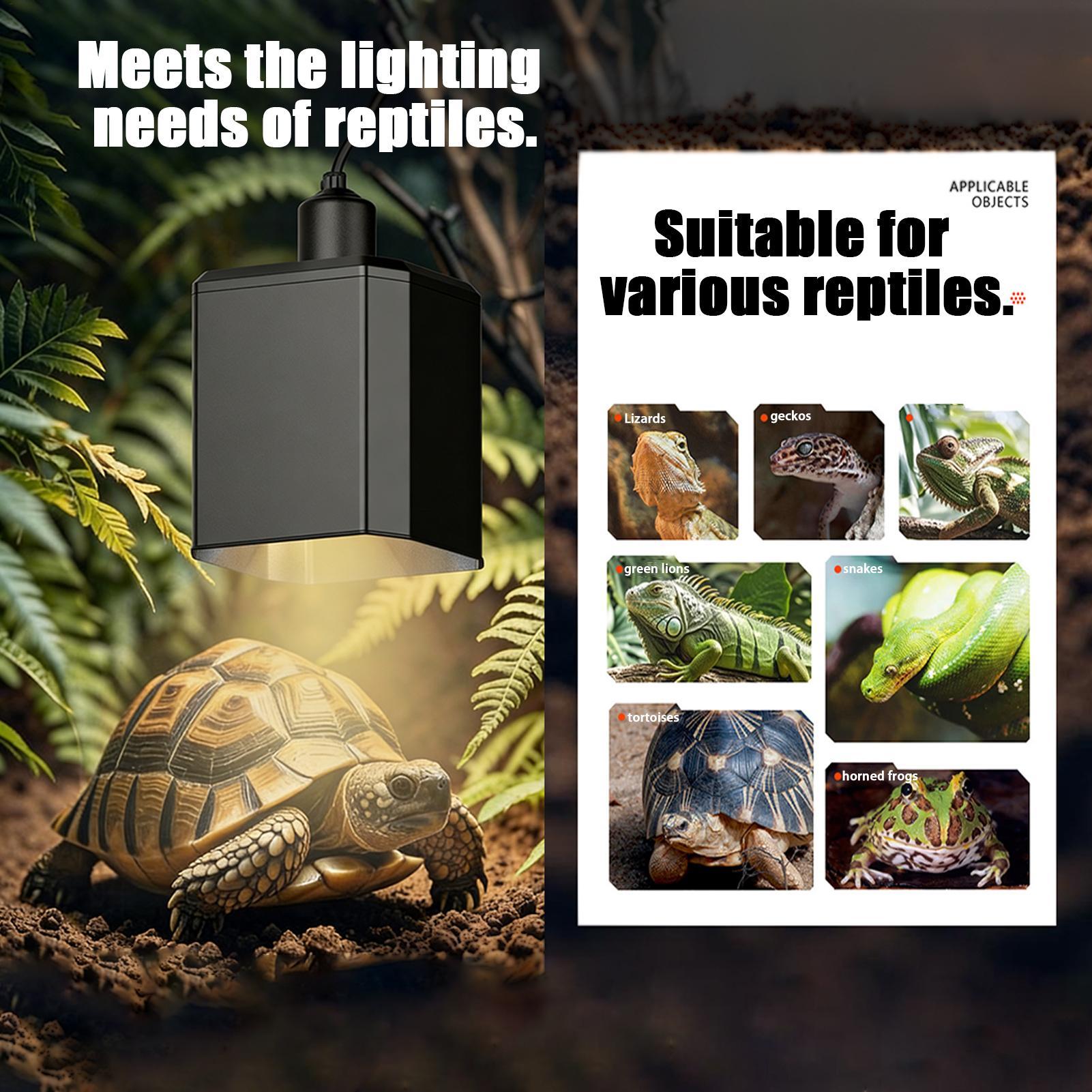 Reptile Heat Lamp Cover Reptil - Gecko Lighting & Decor recensione e prezzo