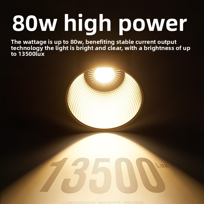 ZU80 80w Handheld Exterior Lam - Touch Dimmer Lamp recensione e prezzo