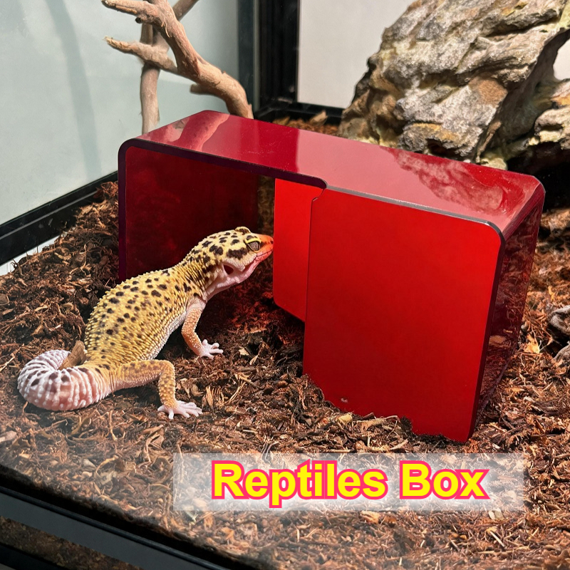 Red Acrylic Reptile Box Habita - Gecko Lighting & Decor recensione e prezzo