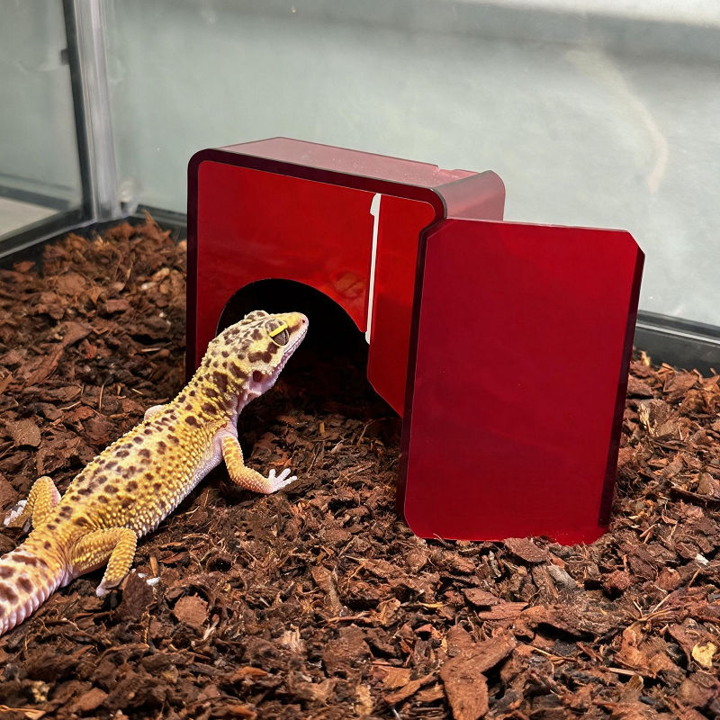 Red Acrylic Reptile Box Habita - Gecko Lighting & Decor recensione e prezzo