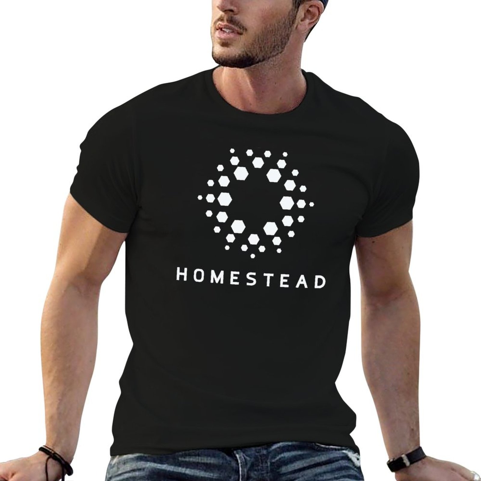Homestead - Passengers - Light - Homestead Lighting & Decor Oconomowoc recensione e prezzo