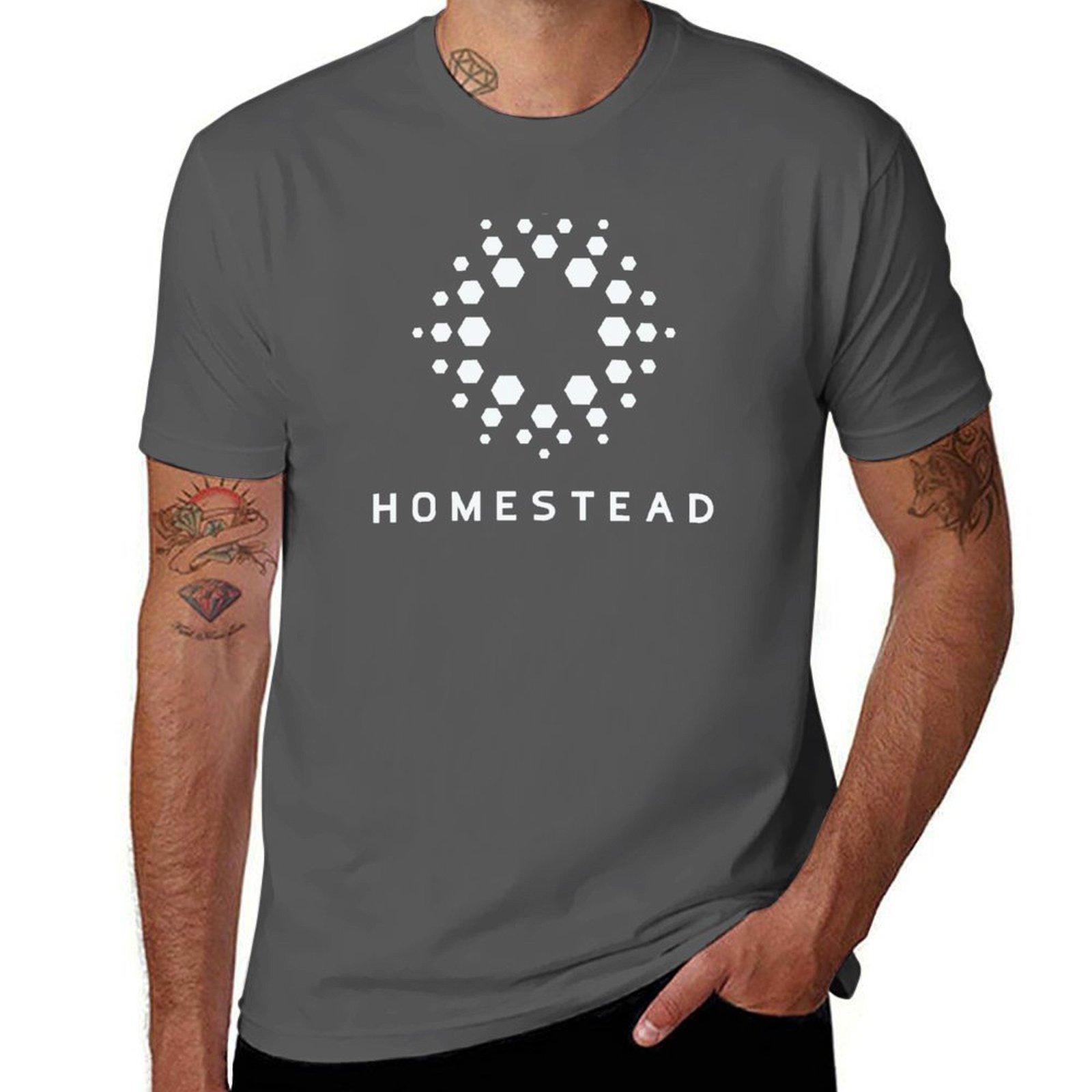 Homestead - Passengers - Light - Homestead Lighting & Decor Oconomowoc recensione e prezzo