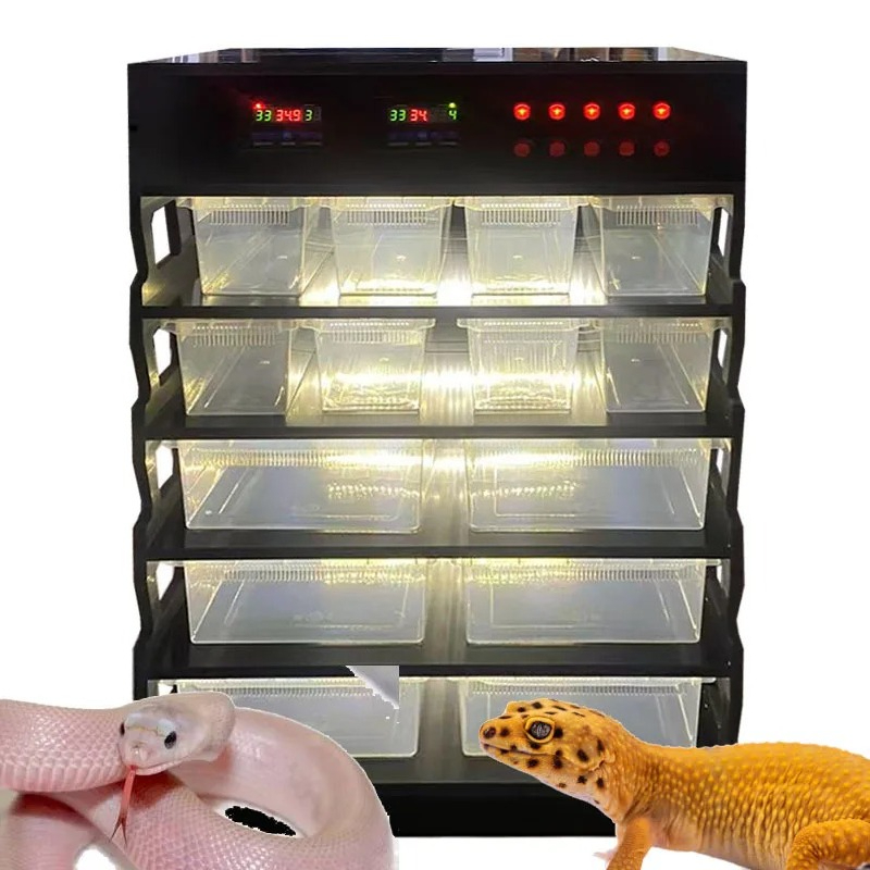 Intelligent PVC Reptile Furnit - Gecko Lighting & Decor recensione e prezzo