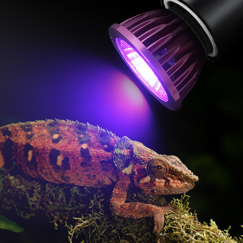 NOMOY Moonlight LED Night Ligh - Gecko Lighting & Decor recensione e prezzo