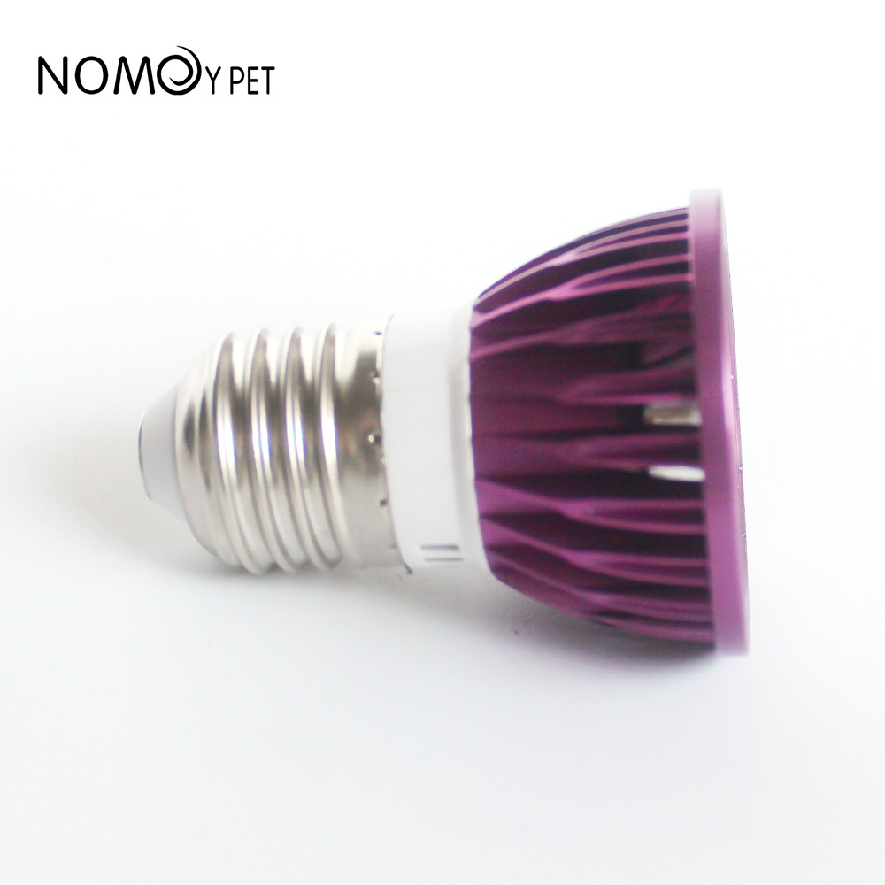 NOMOY Moonlight LED Night Ligh - Gecko Lighting & Decor recensione e prezzo
