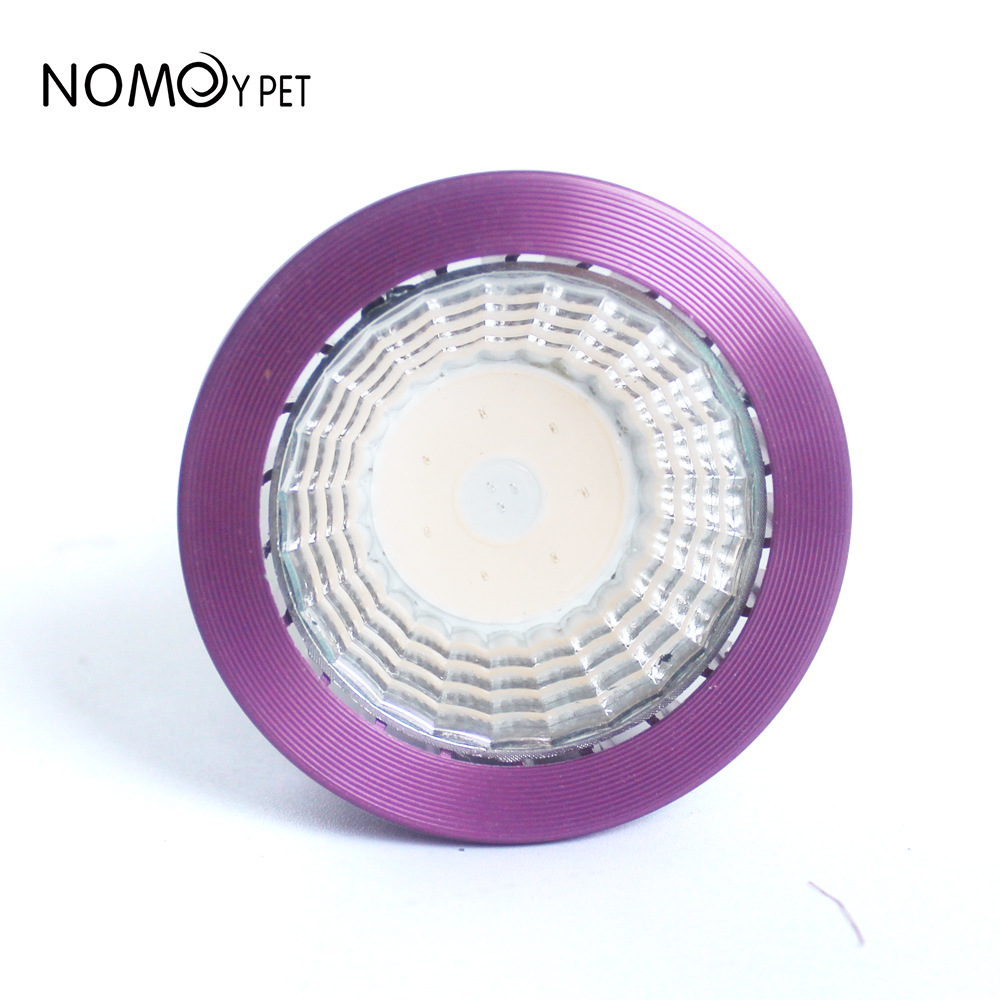 NOMOY Moonlight LED Night Ligh - Gecko Lighting & Decor recensione e prezzo